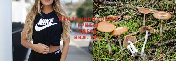 MDMA Карталы