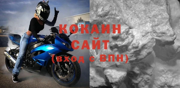 прущие грибы Карпинск