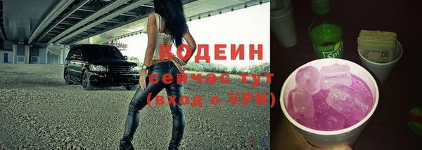 прущие грибы Карпинск